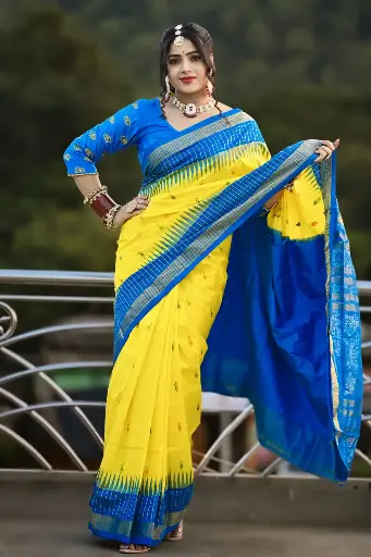 Pata saree